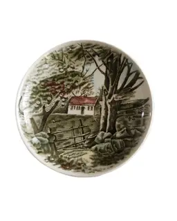 #01 - 14-Transferware Butter Pat-Johnson Bros