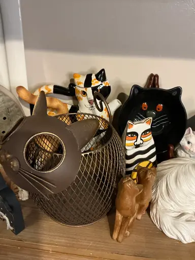 Annesyesteryear It Raining Cats Over Here