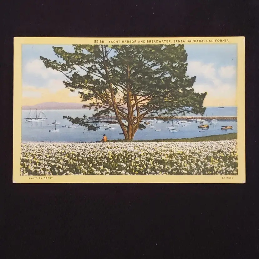 Postcard Yacht Harbor Breakwater Santa Barbara CA unused unposted Vintage