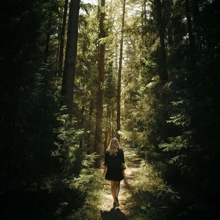 Evermore - Swiftie 8.5ml Perfume Oil