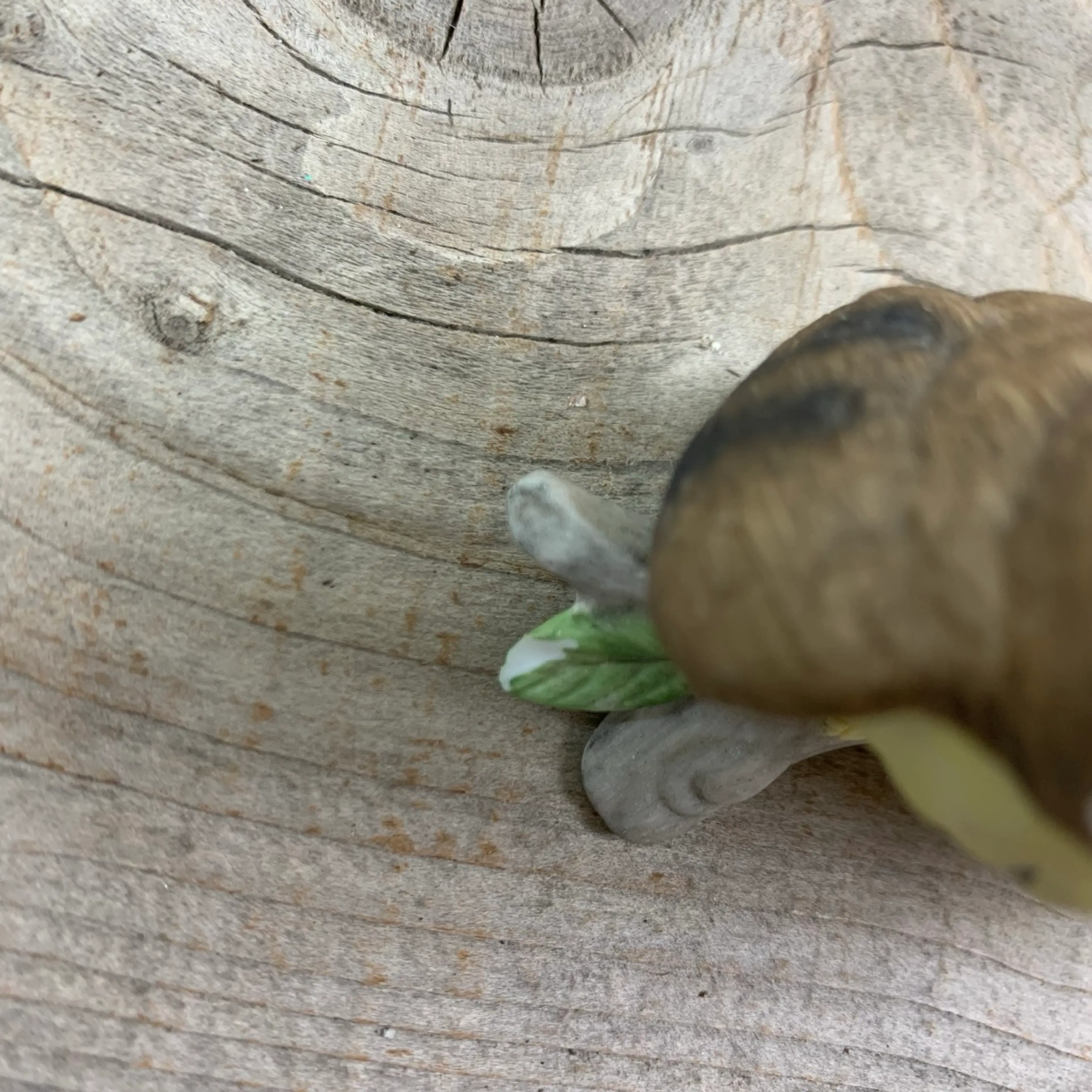 Image 5 of 8