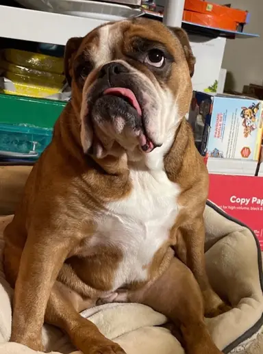 Rosey Invites You To The Sunday Night Show. Coke Hangout And Shop! See Ya There!