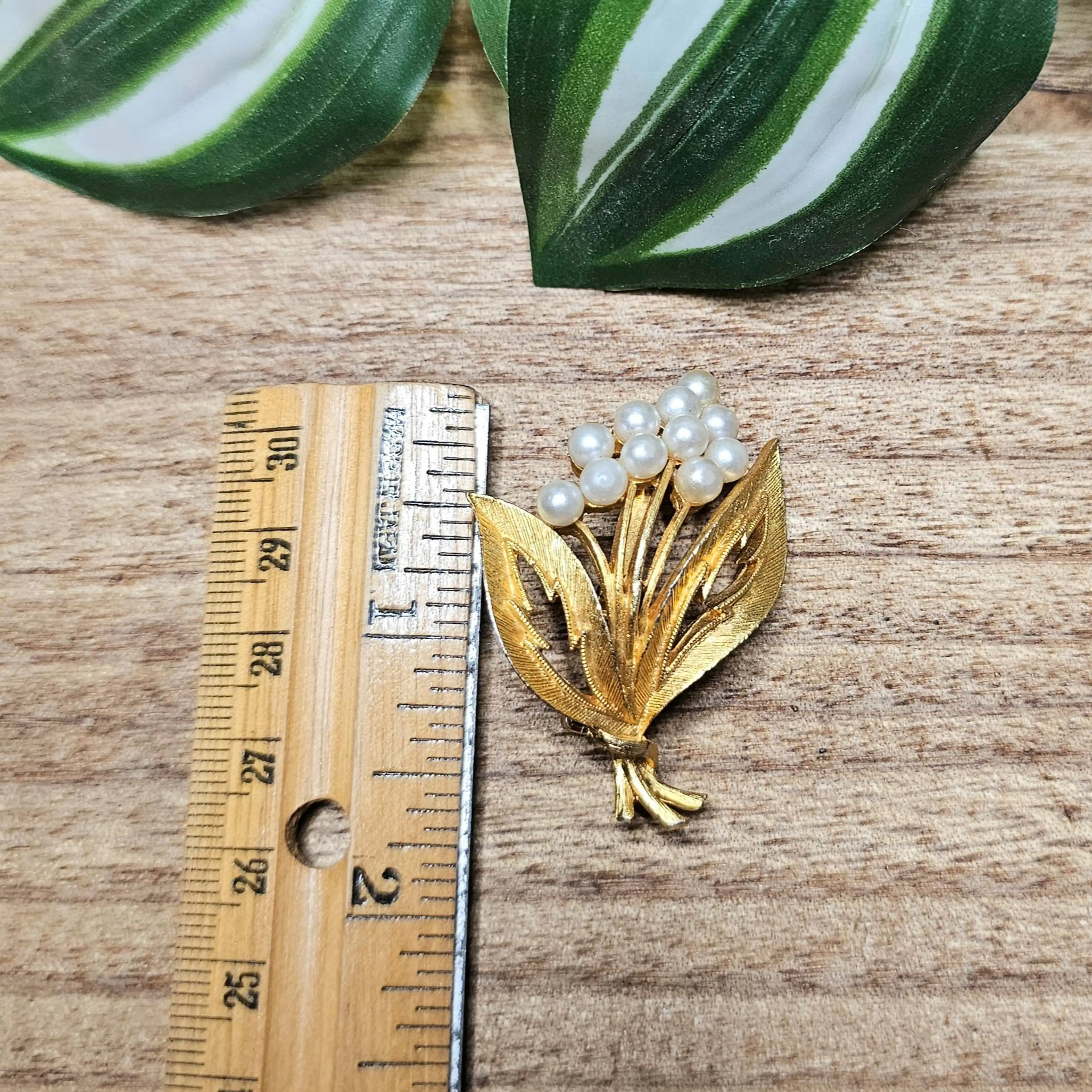 Image 5 of 5
