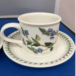 Portmeirion BOTANIC GARDEN Drum Cup With Saucer Veronica Chamaedrys Speed tea Cup