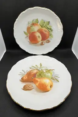 Vintage Schumann Arzberg Bavaria Germany Fruit And Nuts Luncheon Dessert Plates Pair Of 2