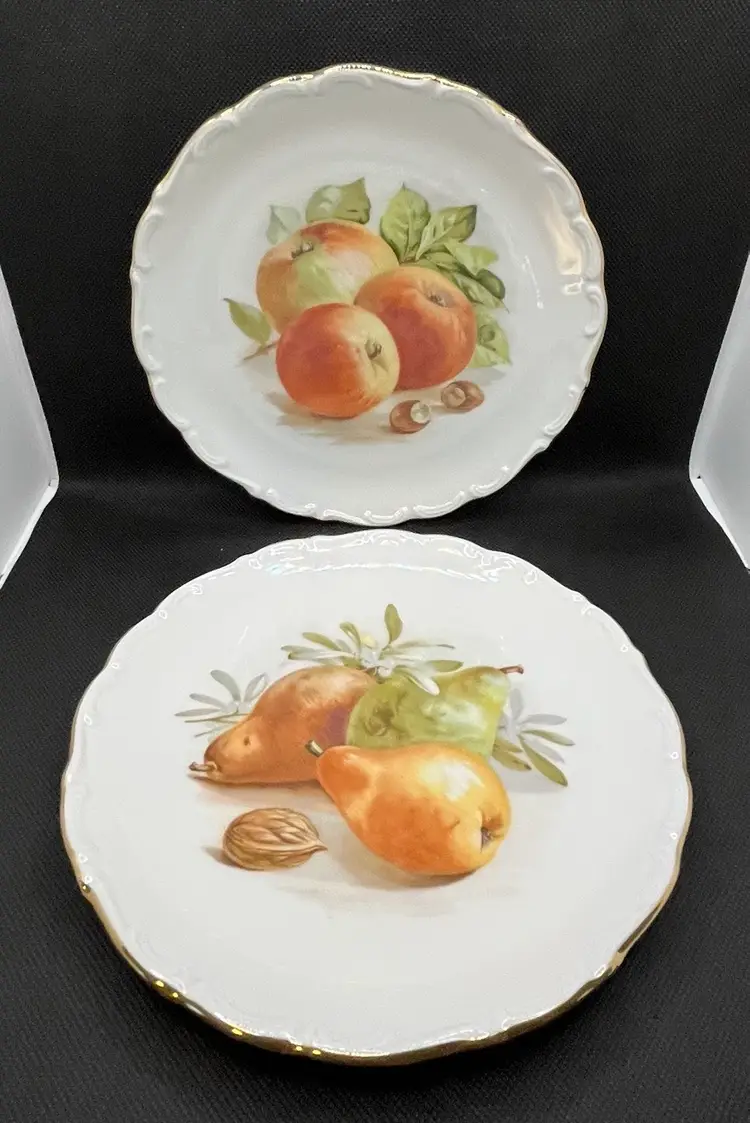 Vintage Schumann Arzberg Bavaria Germany Fruit And Nuts Luncheon Dessert Plates Pair Of 2