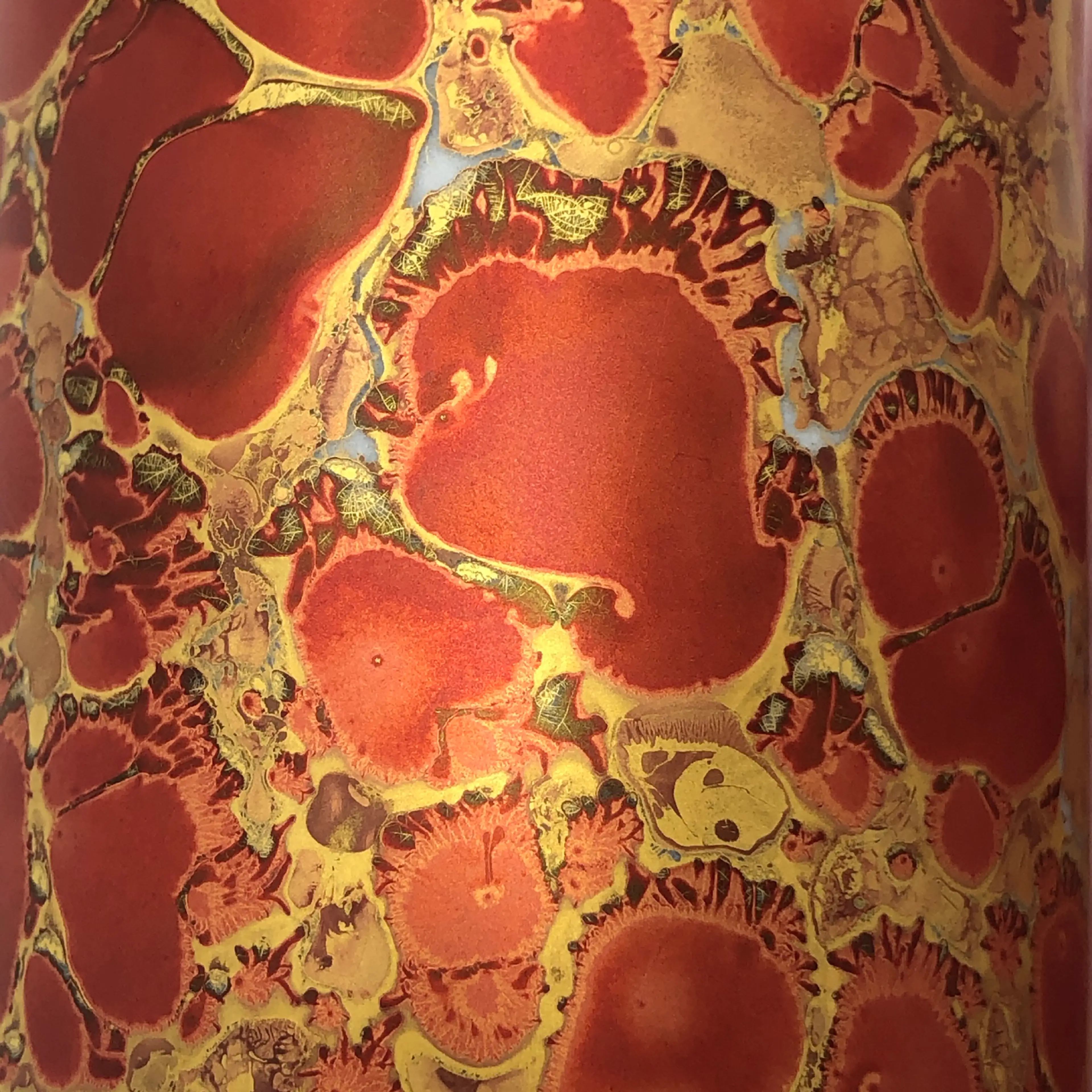 Image 3 of 8