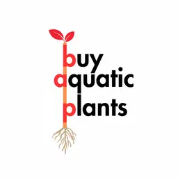 Buy Aquatic Plants