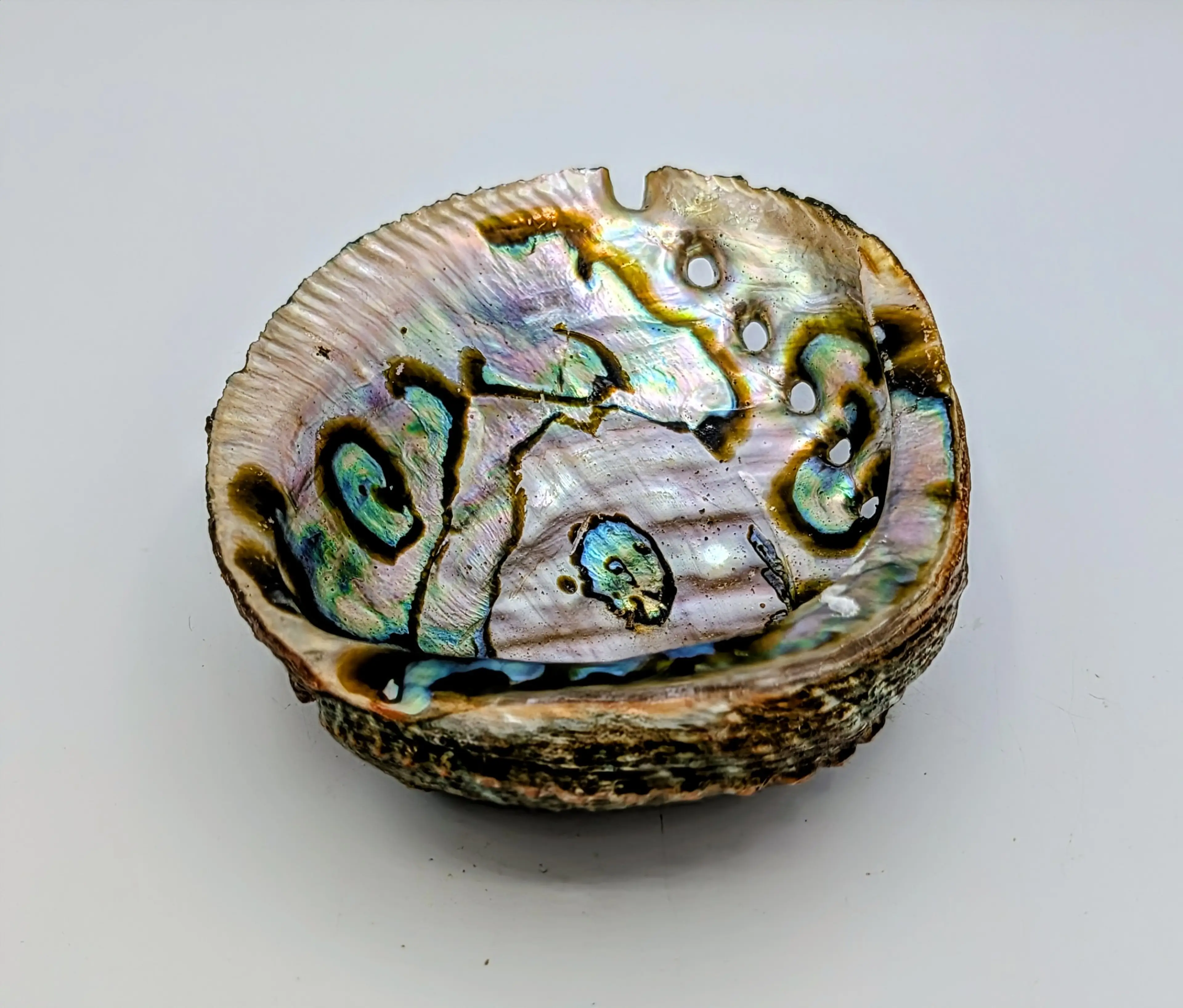 Image 4 of 6