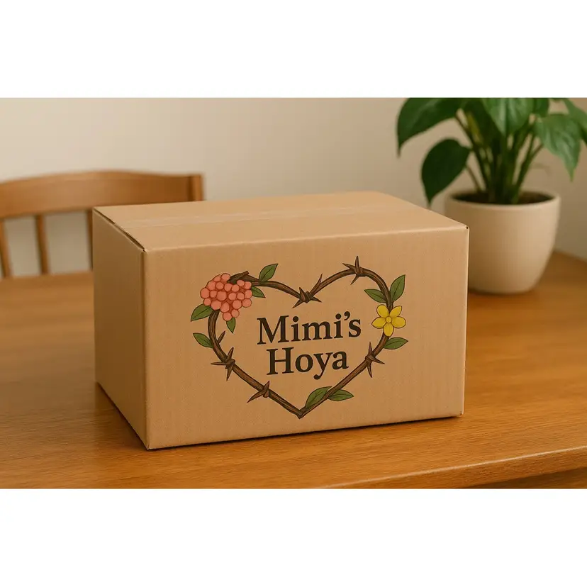 Seedling cutting box