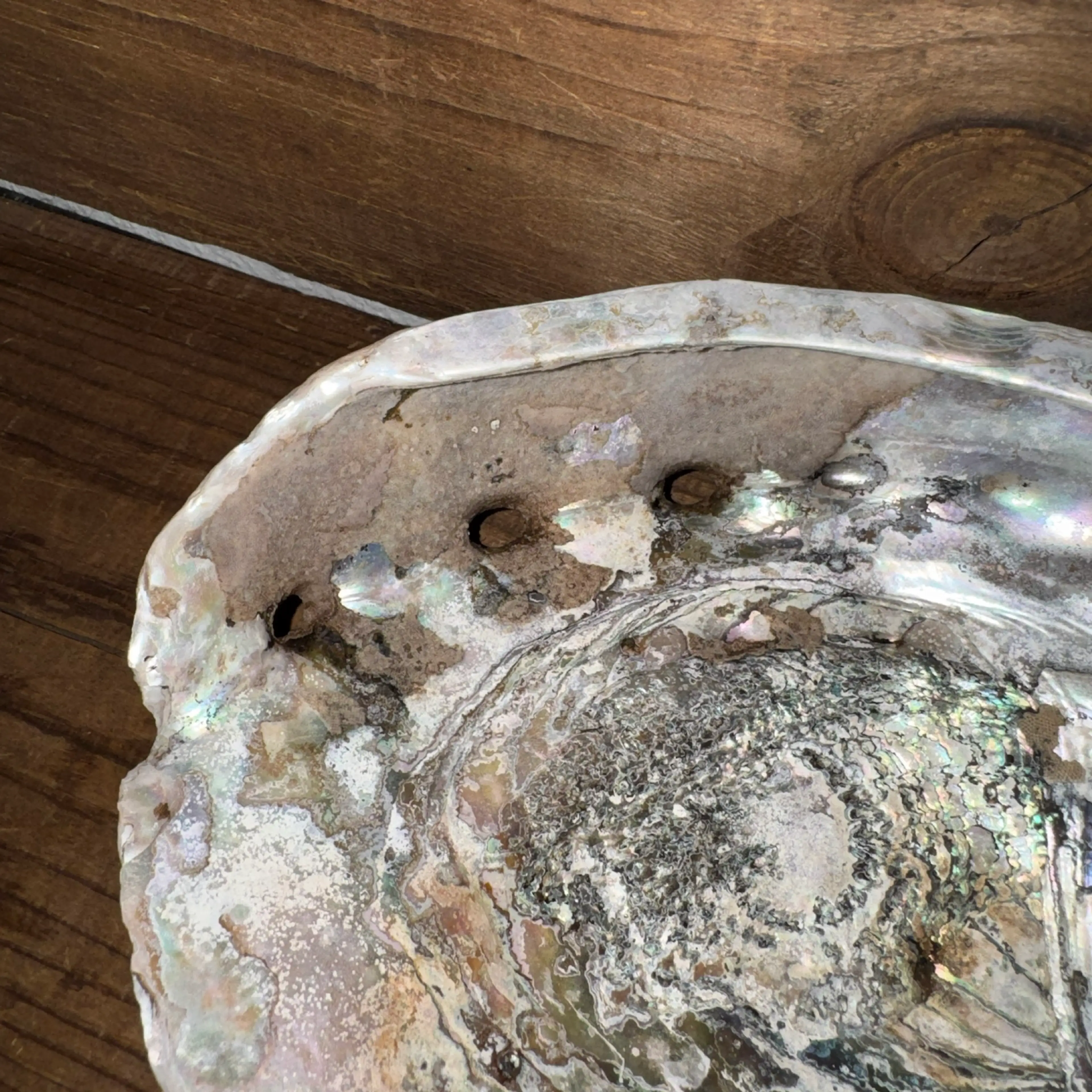 Image 3 of 7