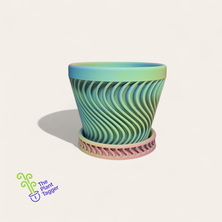 Shwavey Neon Rainbow Multicolor
