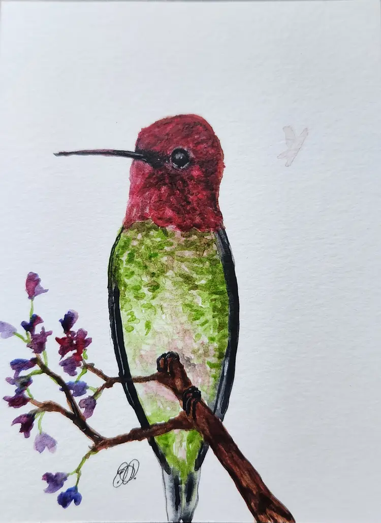 Hummingbird Original Watercolor Painting Signed By The Artist 3x4 Free Shipping