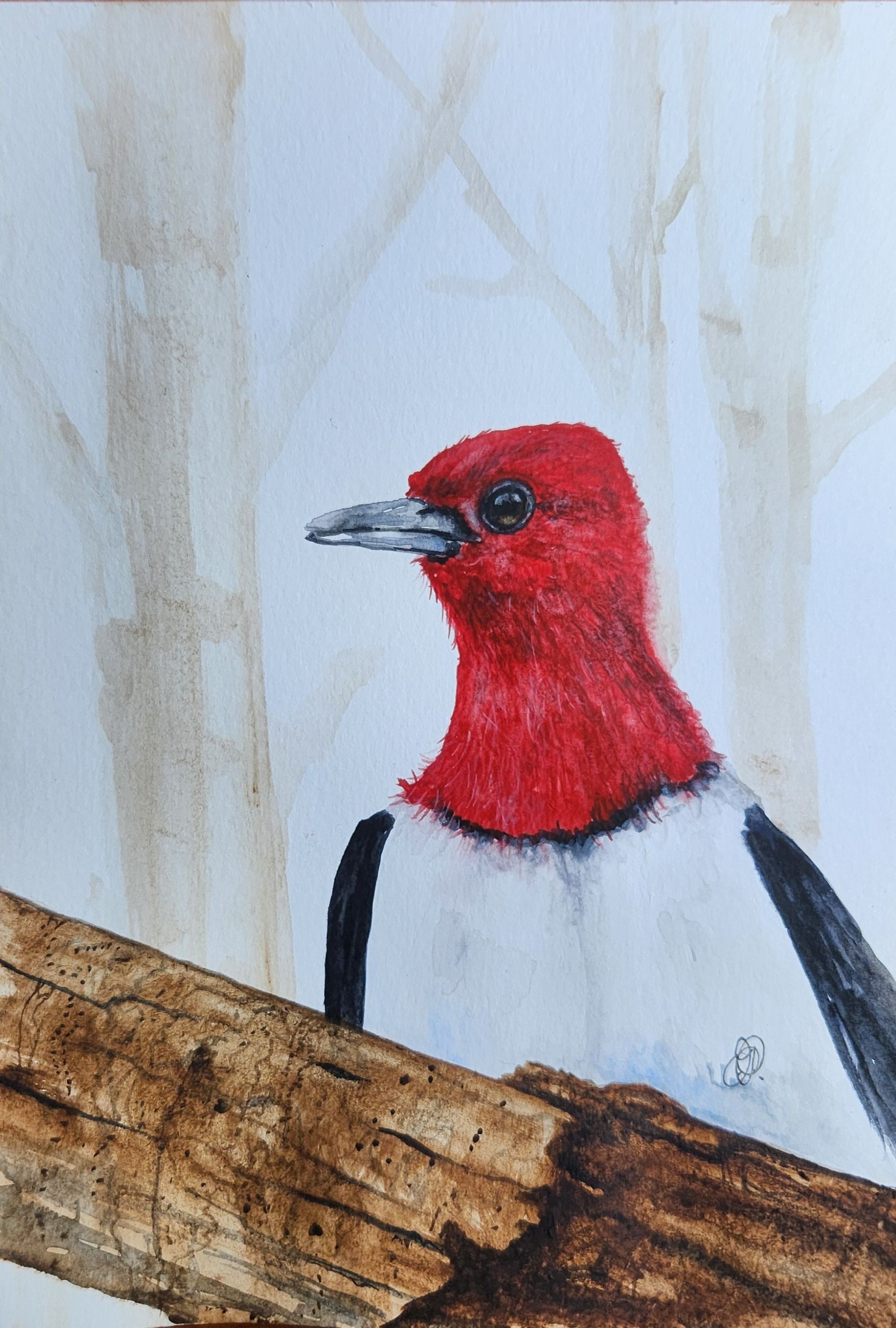 Niknax · Red-Headed Woodpecker Original Watercolor Painting Signed