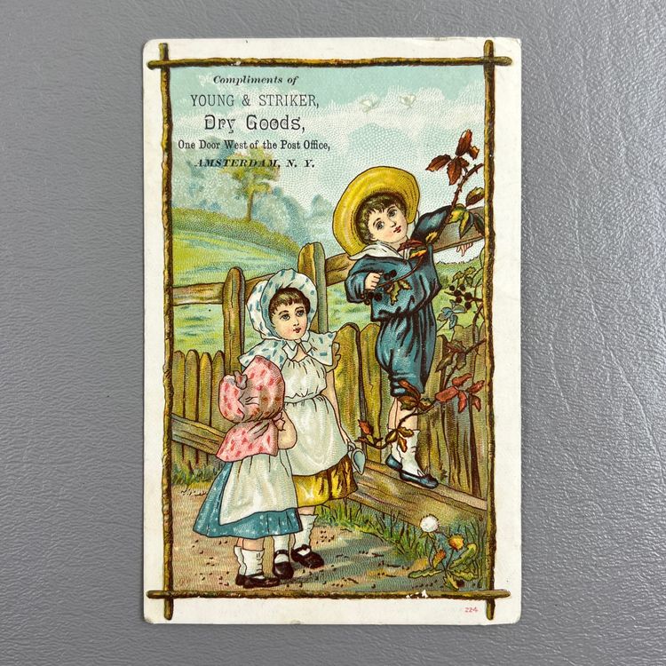 Victorian Trade Card Children Pick Grapes Young Striker Dry Goods Amsterdam NY