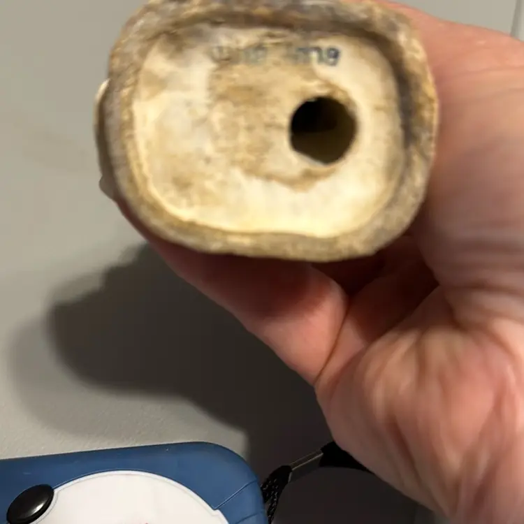 Vintage Porcelain Bluebird 4 1/2 In