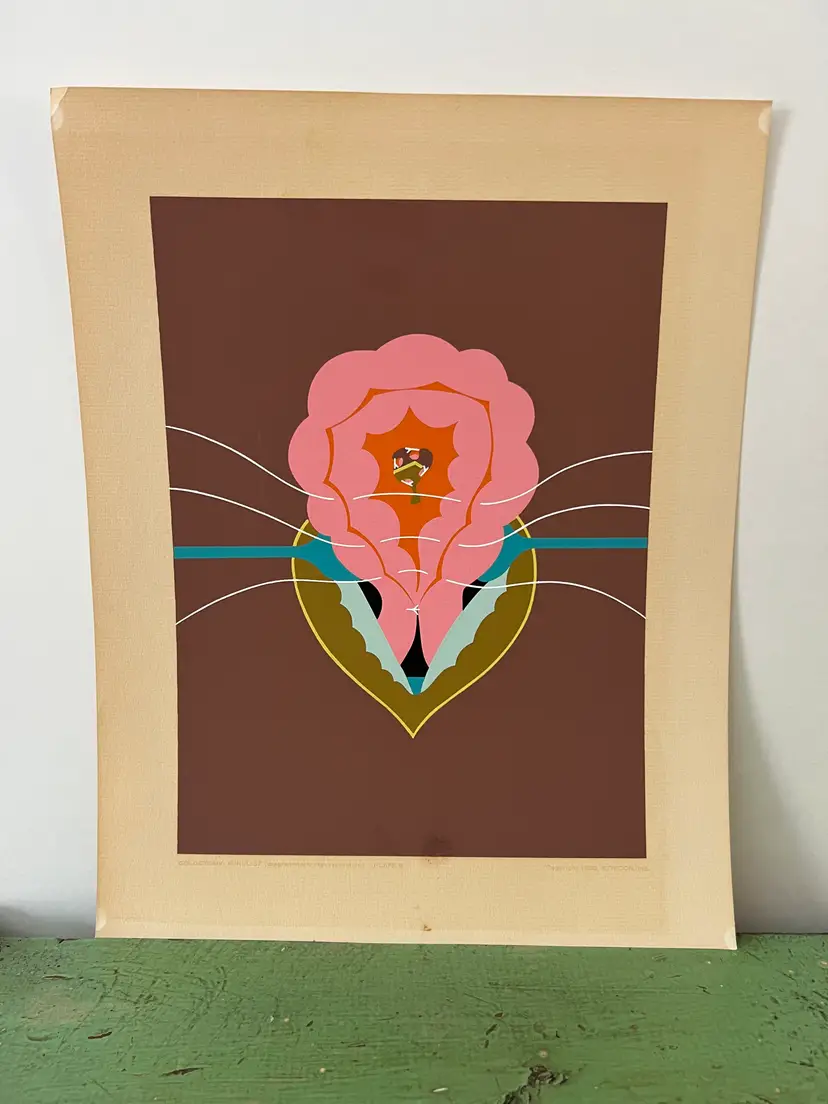 Mid Century Abstract Anatomy Medical Print: Colostomy Mikulicz. Ethicon- Portfolio of Surgical Interventions