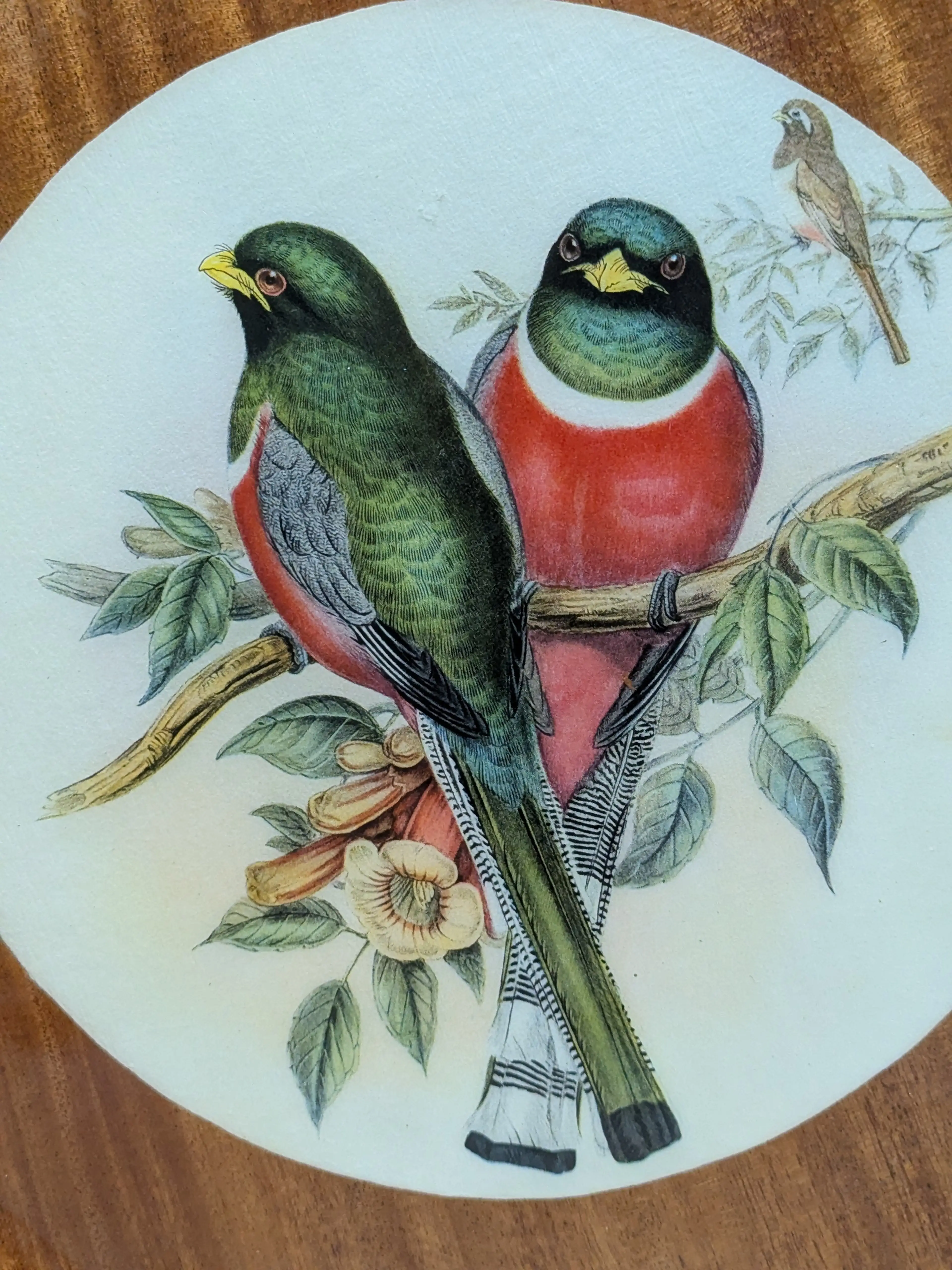 Image 4 of 18