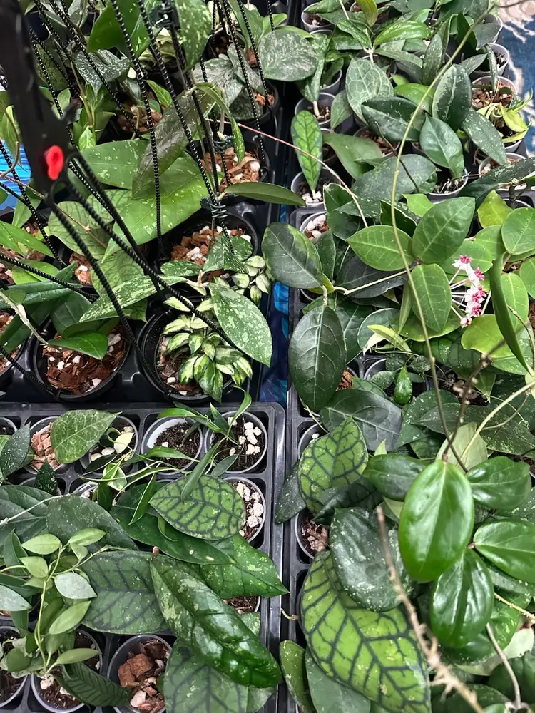 Sneaking Onto The Trail! 🤫