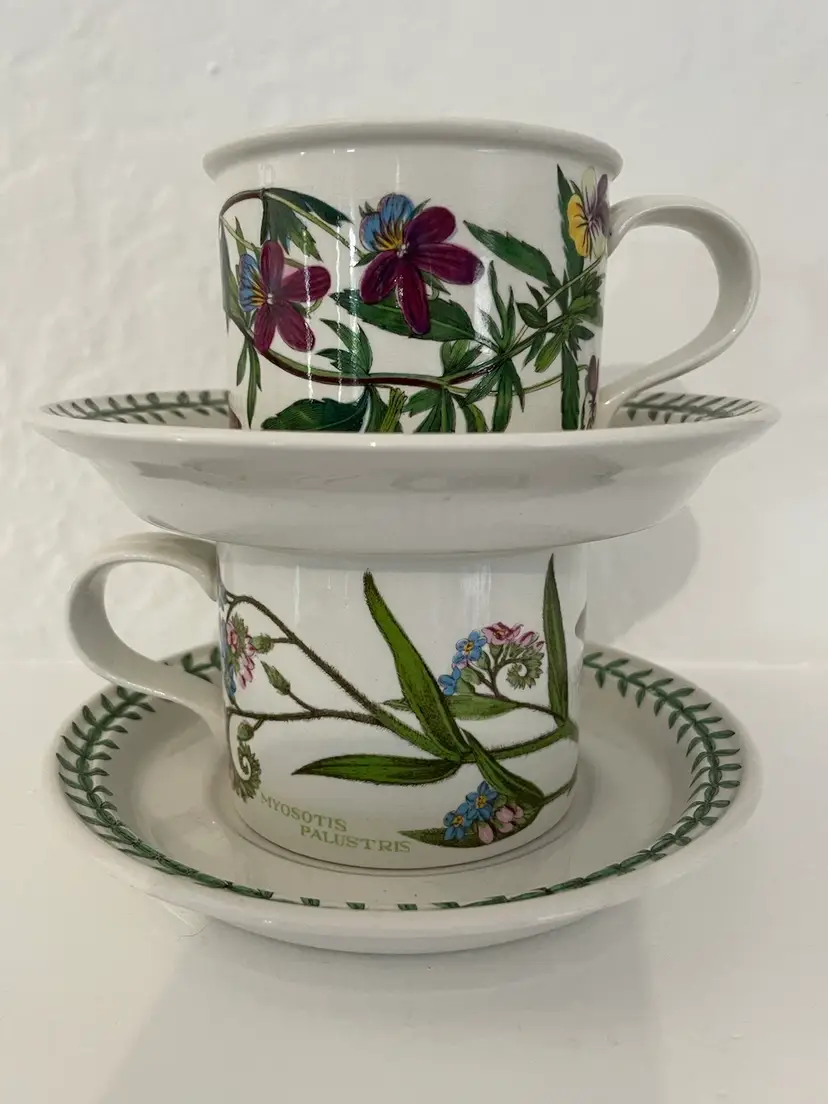 PORTMEIRION Botanic Garden Tea Cup & Saucer Set Of 2