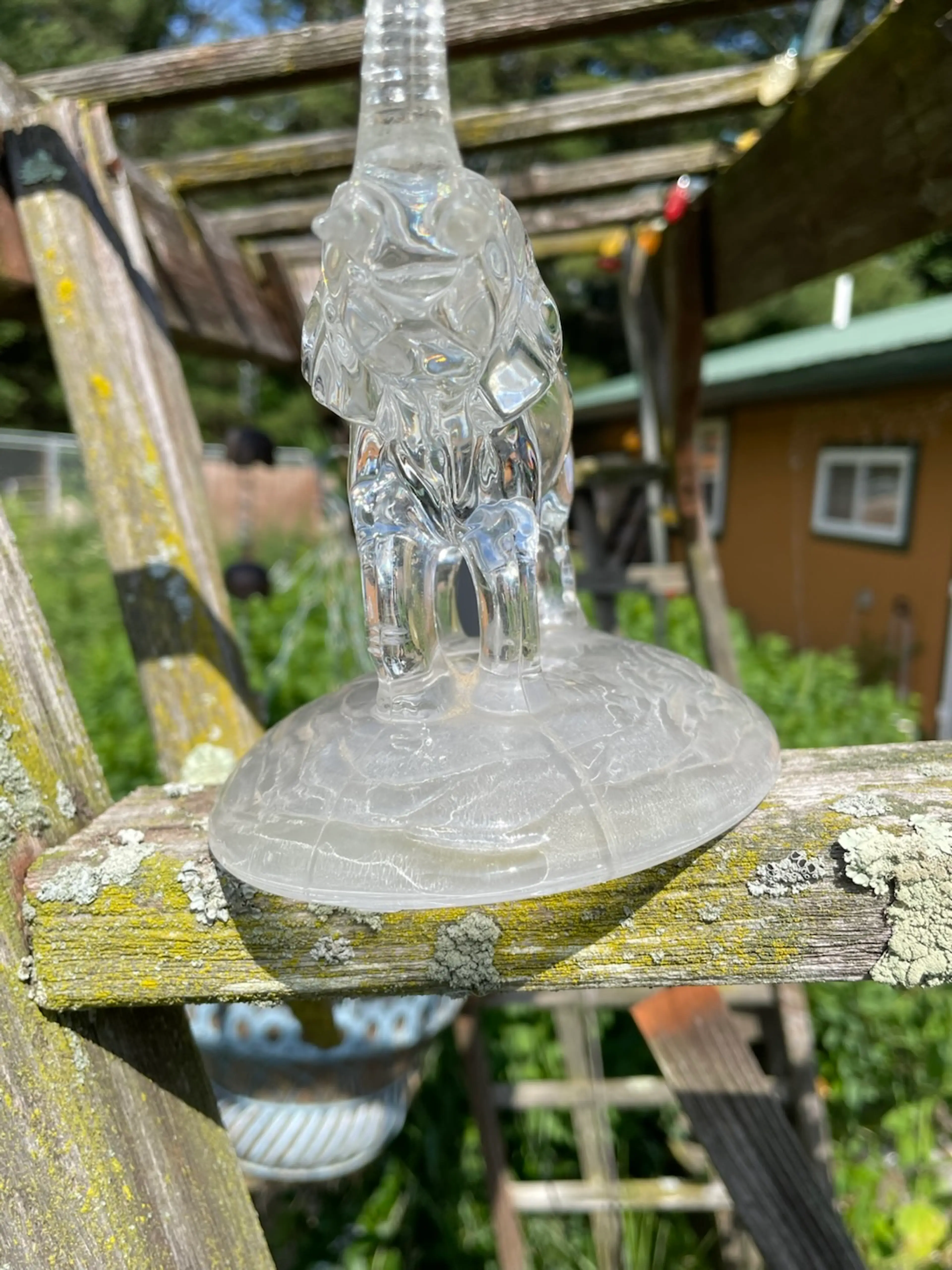 Image 5 of 6