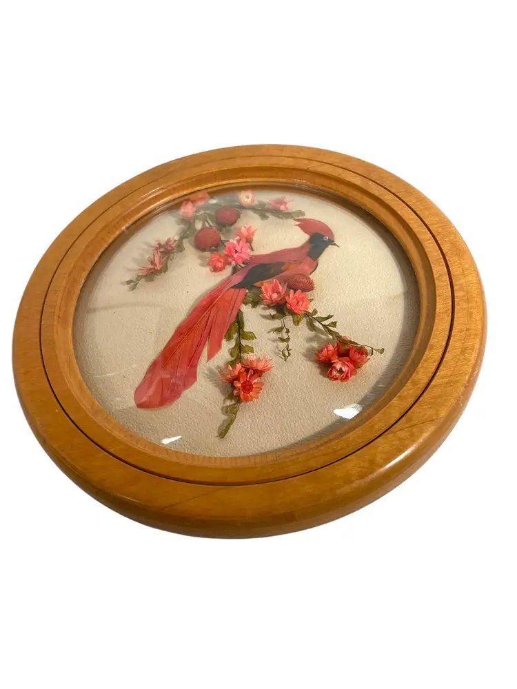 Red Bird Dried Flowers Domed Glass Frame Real Feathers