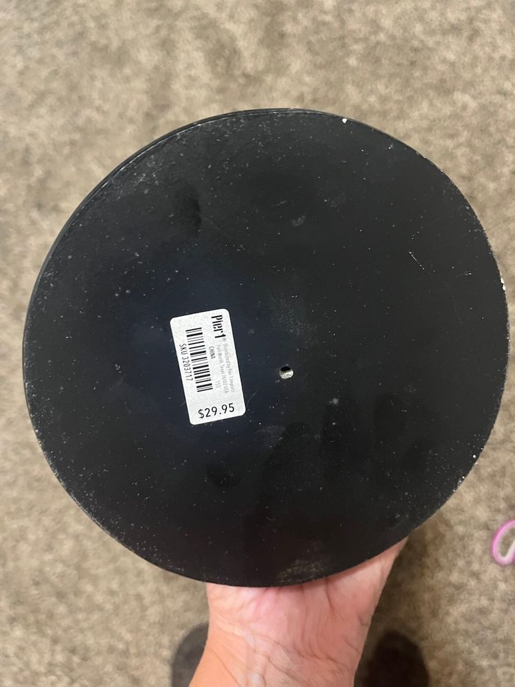 Pier One Halloween Cloche