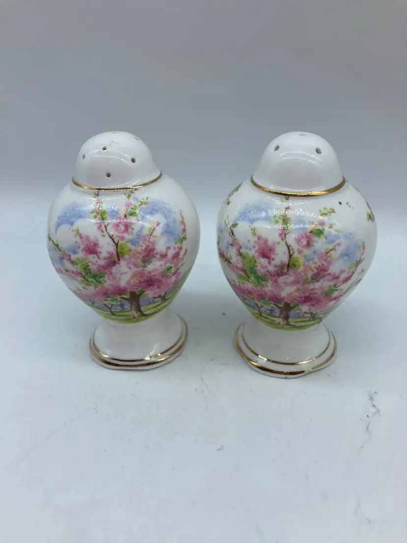Vintage Royal Albert Salt & Pepper Shakers, Blossom Time Pattern, Pink Blossom Trees