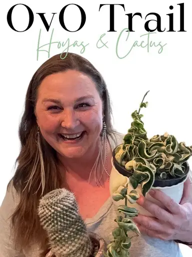 Cactus, Succulents & Hoyas 