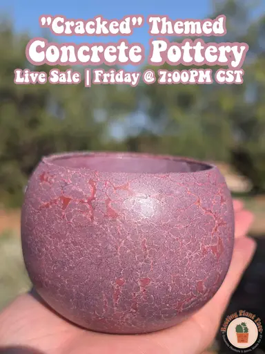"Cracked" Themed Concrete Pots