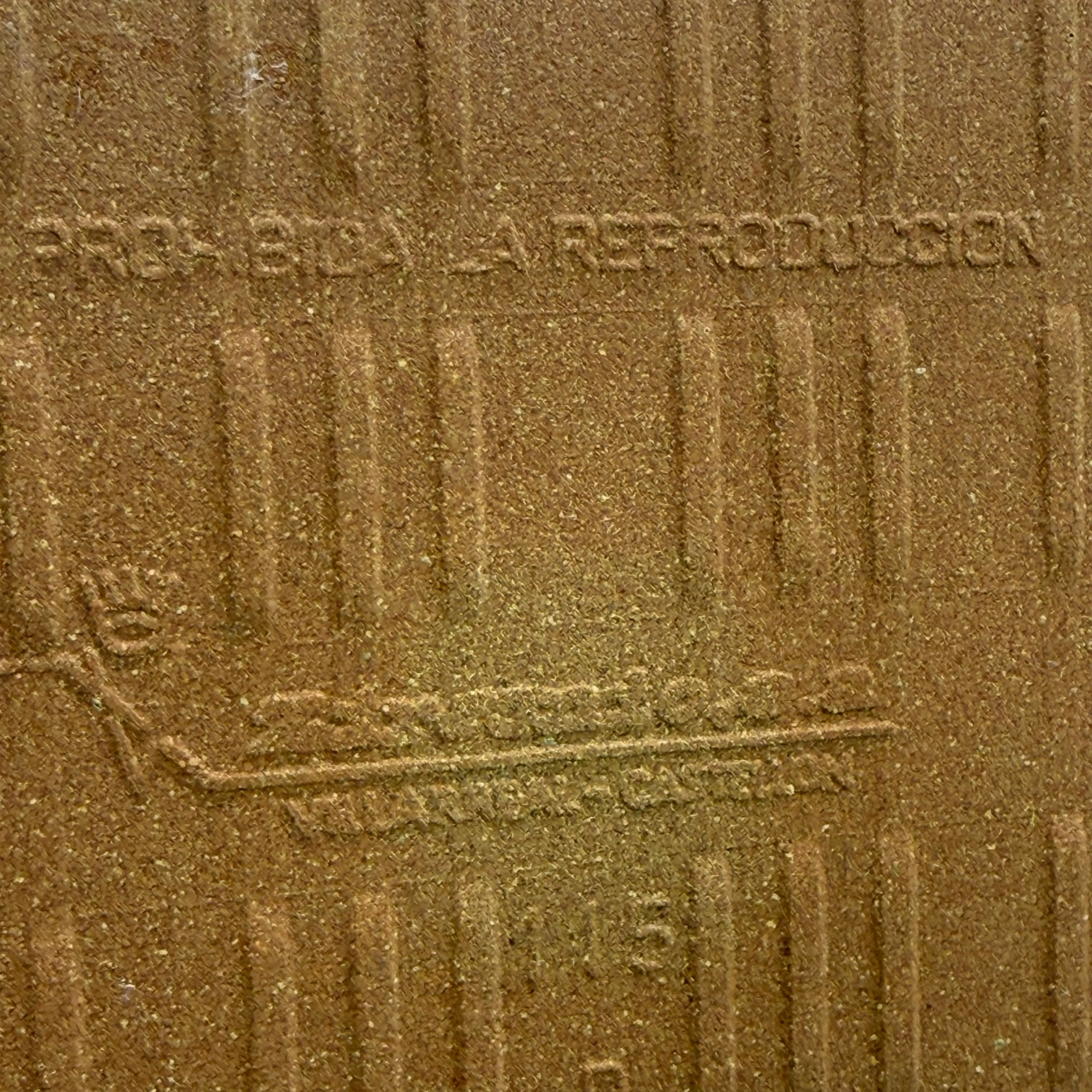 Image 5 of 8