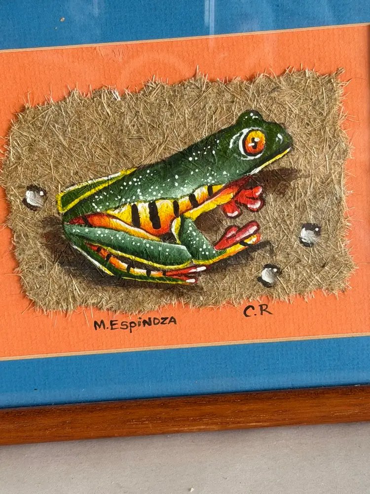 Artist Signed Painting On Fibrous Material Of Tiger Legged Tree Frog 9”