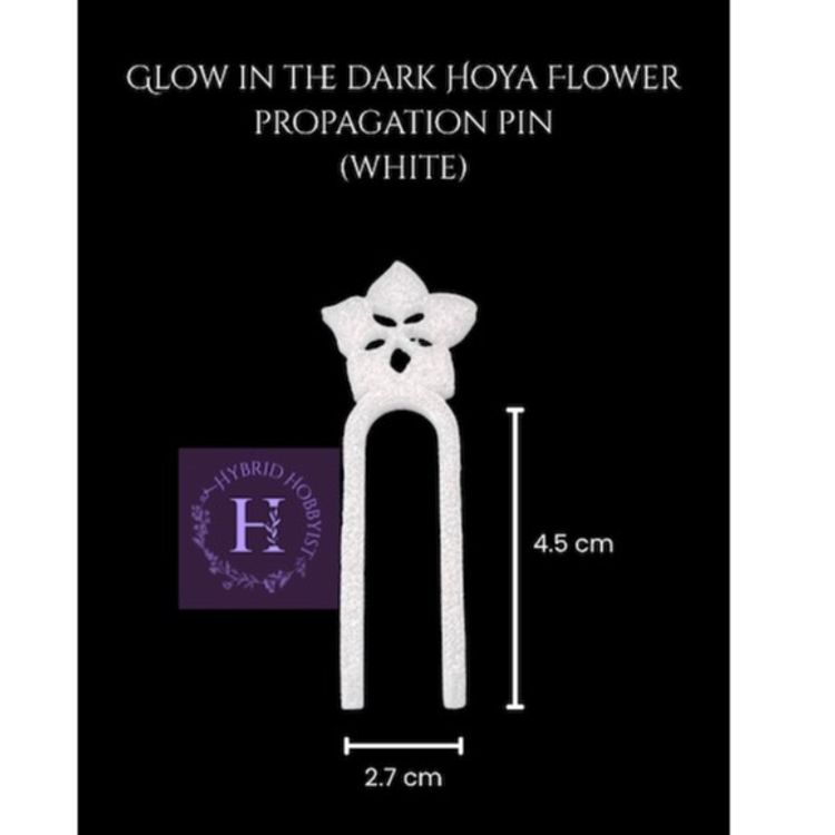 Glow in the dark Hoya flower propagation pins (10 pack)
