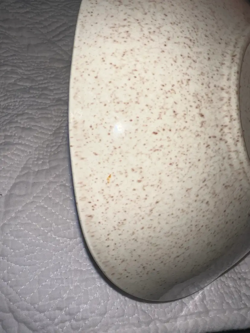 Vintage RED WING Pottery USA Divided Boomerang Dish Bowl - Quail Bob White