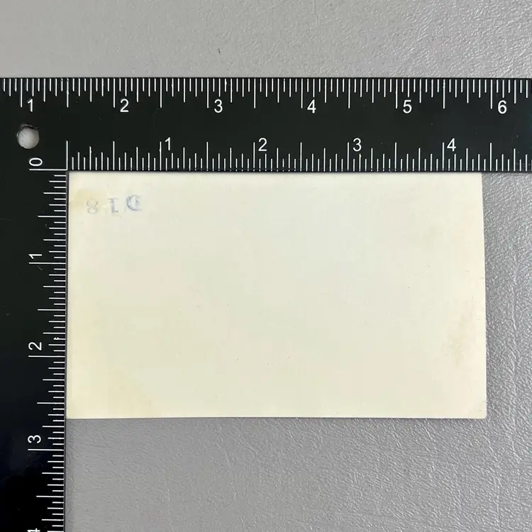 Vintage Prohibition Era Photo Group Camping Picnic Female Beer Moonshine Snapshot 2.75x4.5"