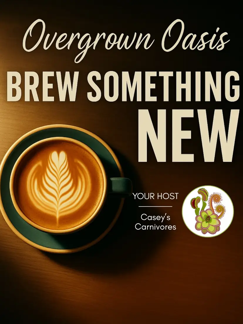 Livestream thumbnail