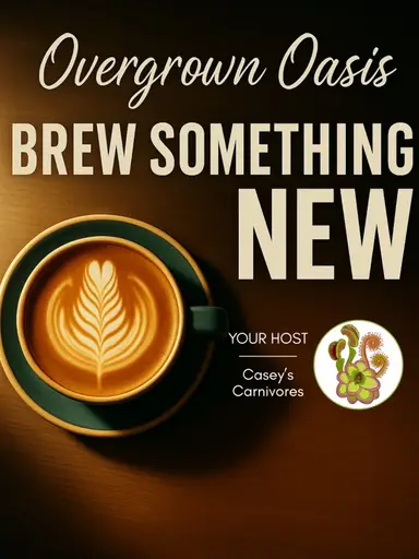 BSN: Propagating Pinguicula