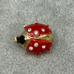 Vintage Goldtone Red Ladybug Brooch with Rhinestones - Made in Hong Kong (1)