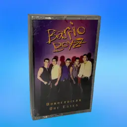 Barrio Boyzz, DondeQuiera Que Estes, Cassette Tape, New, See Description