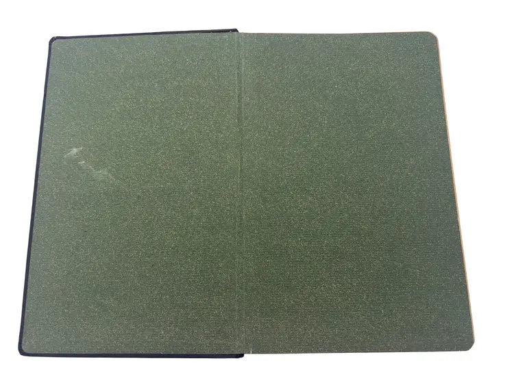 1910 Taschenliederbuch Für Christliche Sänger Antique German Baptist Hymnal