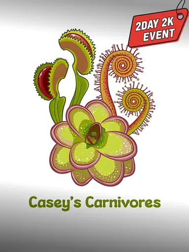 2 Day 2K Pinguicula!