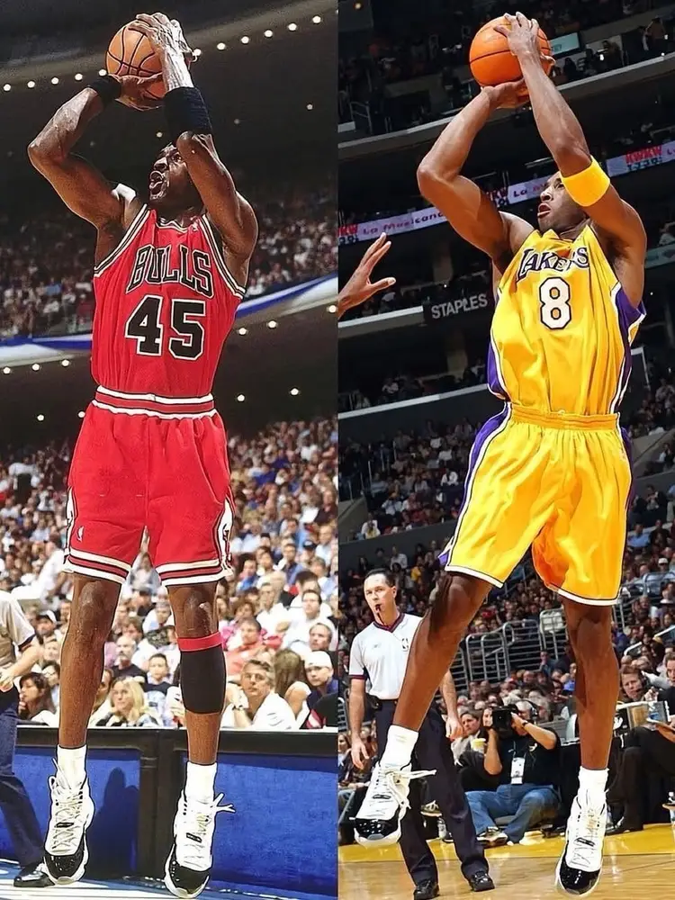 Basketball Slabs & Singles - Budget Friendly #2