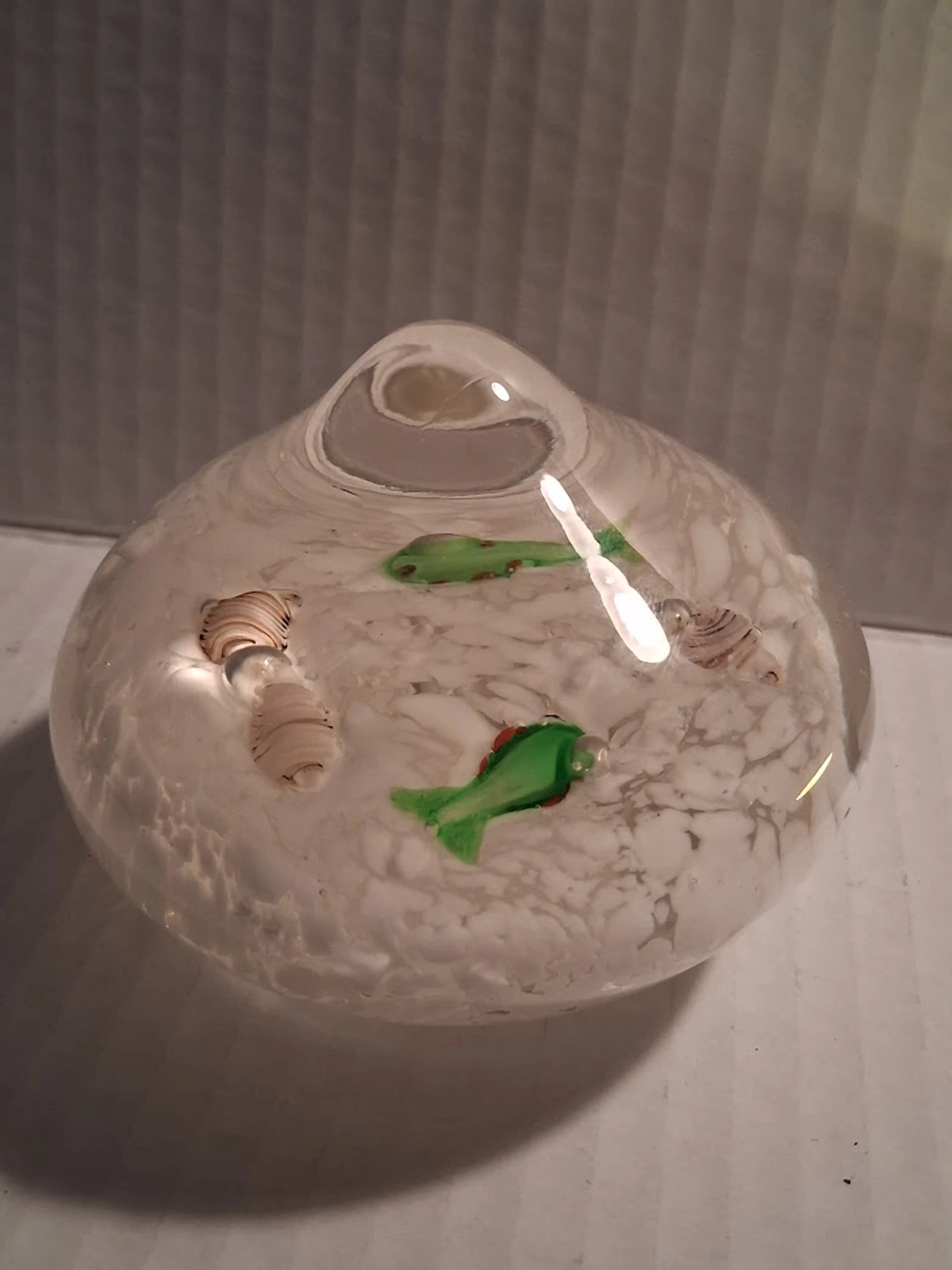 Image 5 of 8