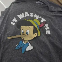 Disney Clothing Lot-13 pieces