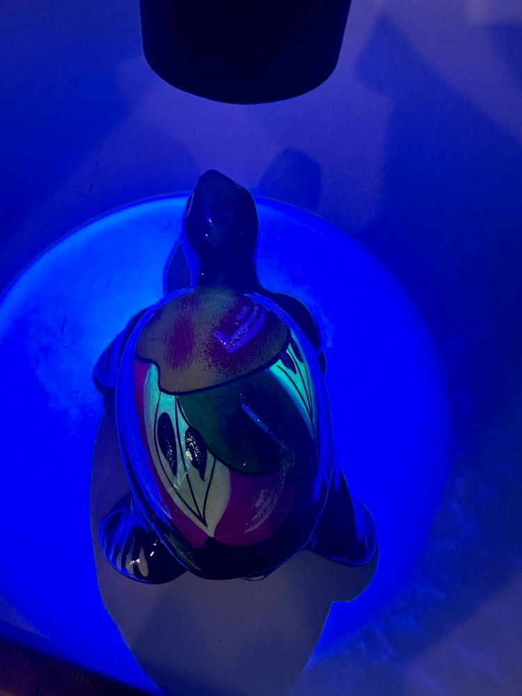 Mexico Talavera Black Turtle With Bright Fruit Hand Painted Mexican Trinket Box