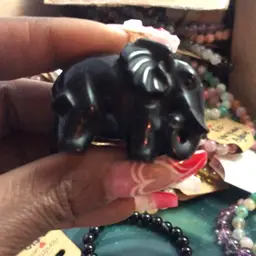 #01 - Sunday with the Peacock!!