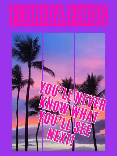 OPENING THRIFTED BAGS OF GOODIES!!!