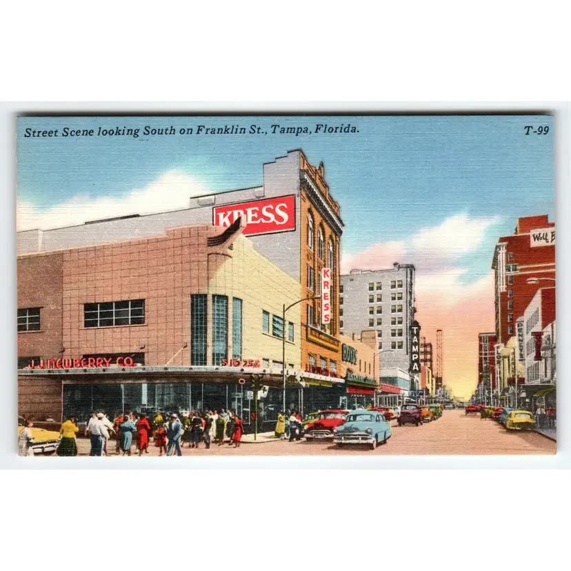 Kress JJ Newbury Boyds Department Store Linen Postcard Tampa Florida Old Cars