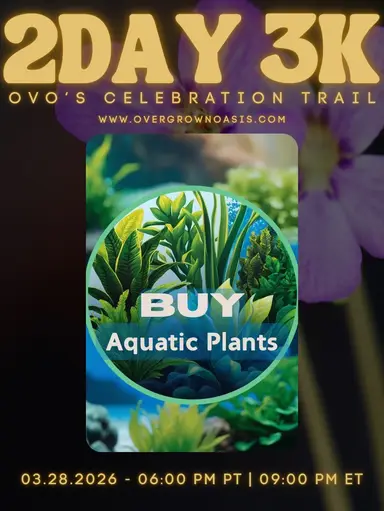 Oasis Awakening Trail