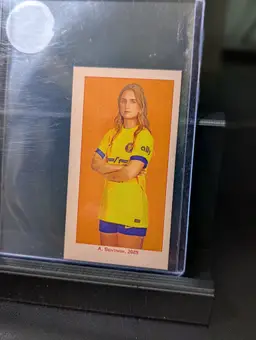 Ally Sentnor Americana